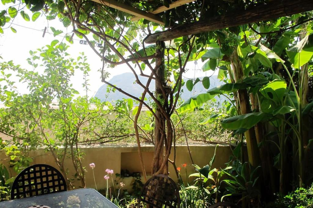 Cedar House, Canneto